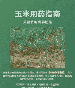 玉米种植需要打多少次药