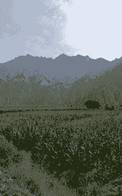 恒山区玉米种植区在哪里