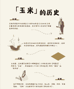 玉米种植业革命史简介