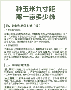 玉米种植多少米一棵最好
