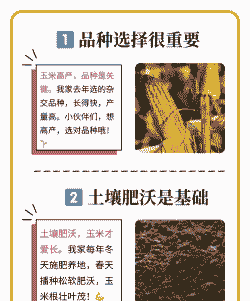 一亩地几颗玉米种植合适