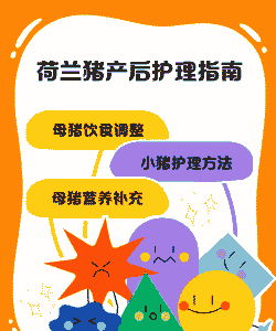 母猪产后护理多少天合适