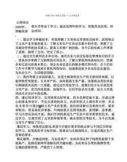 玉米种植培训新闻稿件怎么写