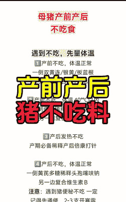 母猪产后不食为哪般