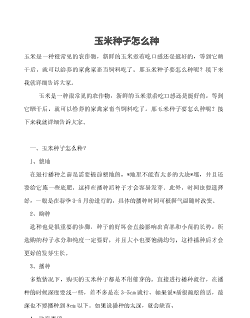 农村如何种植玉米种子呢