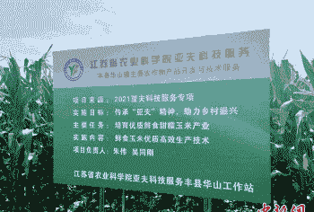 玉米种植场名称怎么写的