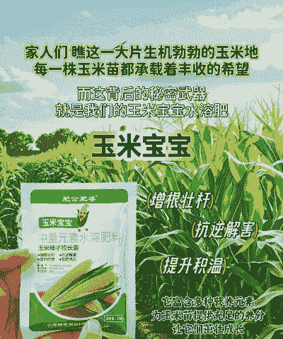 玉米种植用不用施肥肥料
