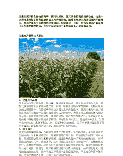 黑龙江玉米种植技术规程