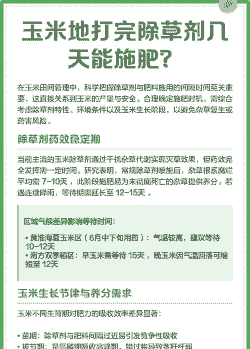 玉米种植多少天打除草剂