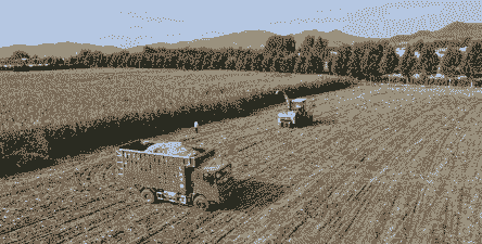 汝阳县玉米种植场在哪