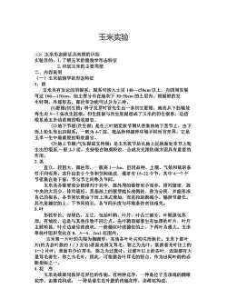 玉米种植比较实验报告怎么写