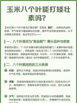 玉米种植用矮壮素的用量