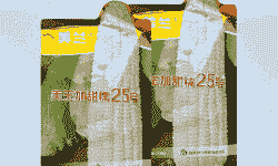 美兰甜玉米种植时间表