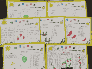 玉米种植课程表怎么写的