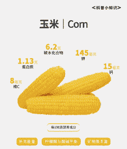 益禾堂玉米种植时间表