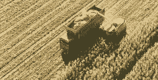 内蒙古玉米种植到收割时间