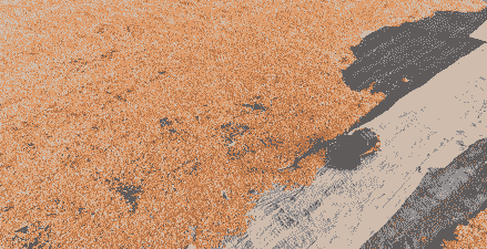 玉米种子种植前用晒吗