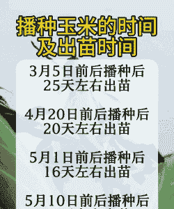 连云港玉米种子种植时间