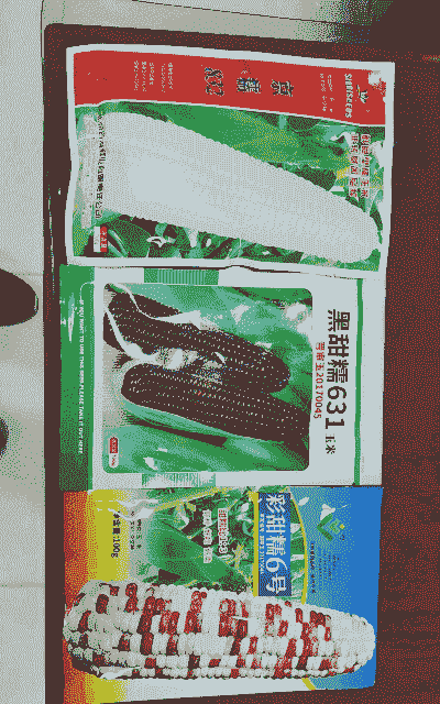 山西运城适合种植什么玉米种子