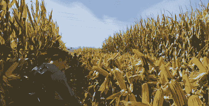 新疆玉米种植人工成本多少