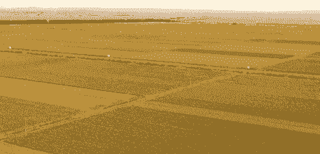 最适合抚顺的玉米种植区