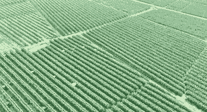 眉山玉米种植户有多少个