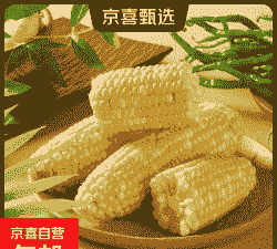 爆浆玉米种植利润怎么样