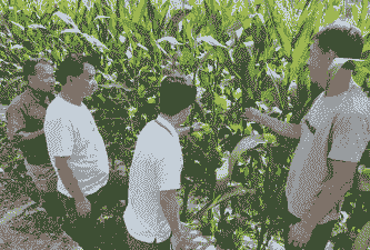 漳浦玉米种植户是谁管的