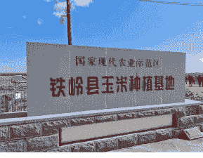 铁岭市玉米种植面积多少亩