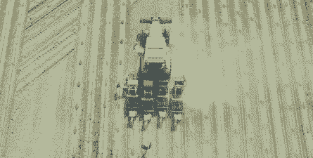 新疆玉米种子怎么样种植