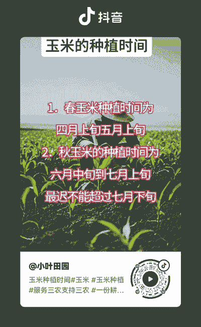 河南平顶山玉米种植时间