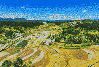 黔西南州最好玉米种植地