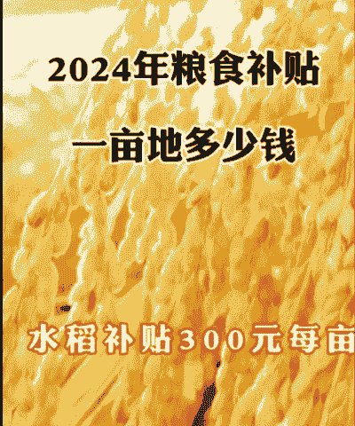 玉米种植一亩补贴多少钱