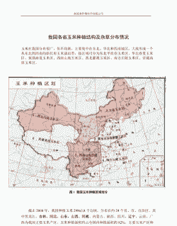玉米种植大省是哪几个省