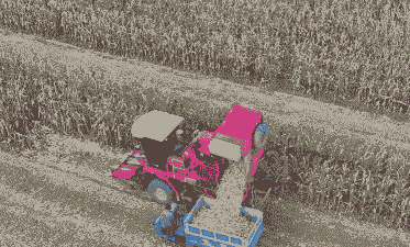 山西玉米种植面积万亩产量