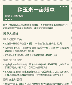 玉米种植一亩利润多少钱