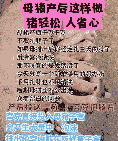 母猪产后护理专业有什么