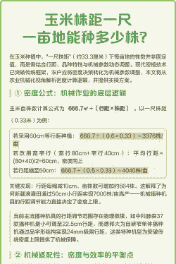 玉米种植多少株一亩地合适