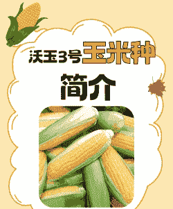 玉米种植大省排名前十名