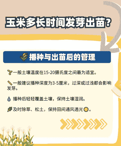 玉米种植多长时间长芽啊