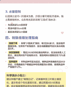 玉米种植后多久浇一次水
