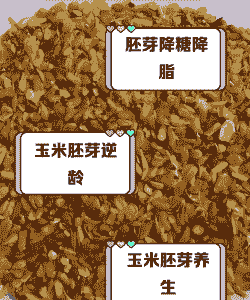 适合绿春种植的玉米种子是什么