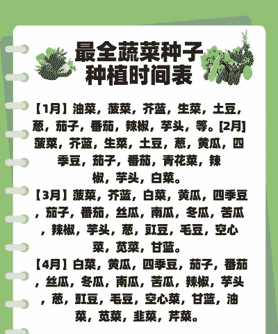 四季豆玉米种植时间表