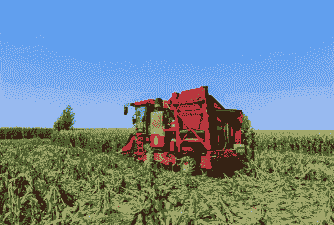 五原县玉米种植地区有哪些