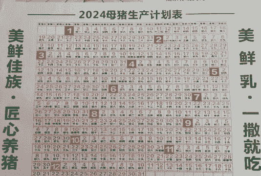 母猪生产后多久可进食