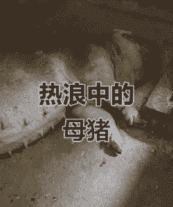 母猪产后三天肚子胀