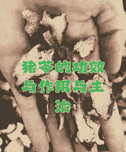 母猪产后瘫痪中草药偏方