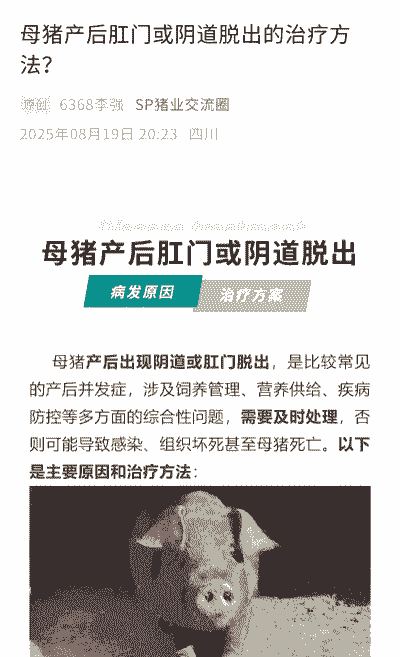 母猪产后脱肛如何治疗