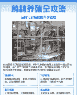 鹧鸪养殖怎么养殖的