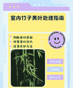 室内养竹子黄叶如何处理